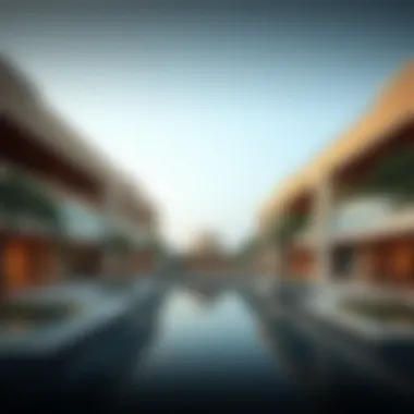 An Exploration of the Sarab Community within Dubai's Real Estate Arena Summary An Exploration of the Sarab Community within Dubai's Real Estate Arena Summary