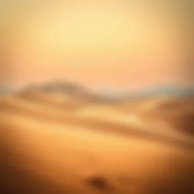 Liwa Desert - Nature's Splendor The breathtaking landscapes of the Liwa Desert