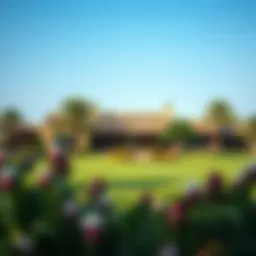 Breathtaking view of a traditional farmhouse surrounded by lush greenery in the UAE