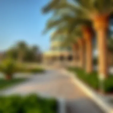 Notable Exploring the Largest Park in Dubai: A Comprehensive Overview