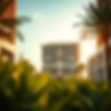 Investment Insights for Liwa Residence Investment potential in Liwa Residence