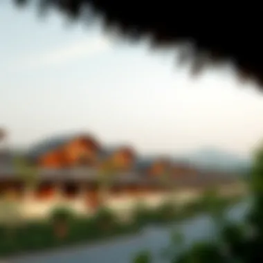 Understanding Culture Villages: An Insight into Community Dynamics and Development Summary